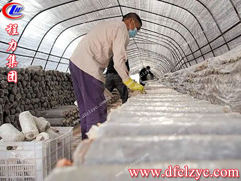 程力集團(tuán) 程力集團(tuán)