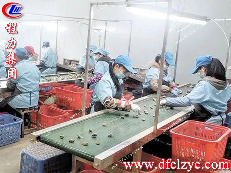 程力集團(tuán) 程力集團(tuán)